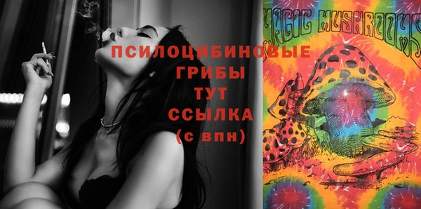 стаф Балахна