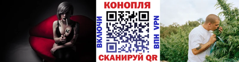купить наркотики цена  Новый Оскол  Марихуана семена 